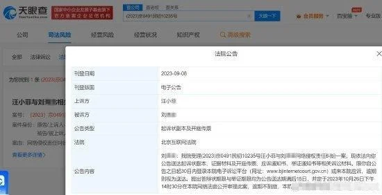 汪小菲告网友侵权 案件将于10月下旬公开审理