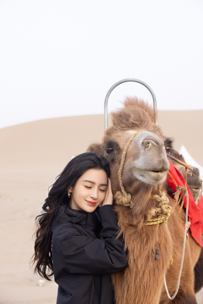 Angelababy现身沙漠与骆驼亲密接触 身穿冲锋衣又美又飒