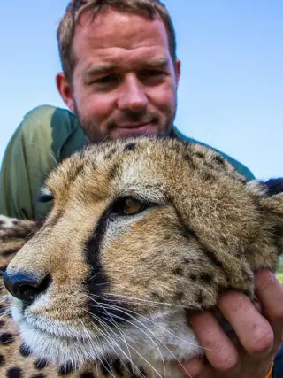 屋中大猫高清海报