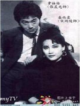 双面佳人1986海报剧照