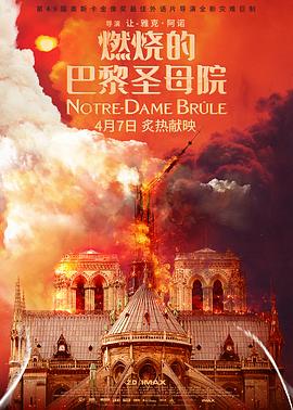 燃烧的巴黎圣母院在线观看