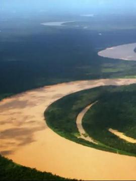 伟大的亚马逊：大河的秘密