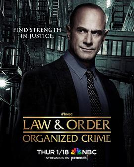 法律与秩序：组织犯罪第四季的海报