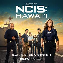 《海军罪案调查处：夏威夷第三季》