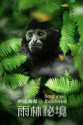 中国海南·雨林秘境的海报