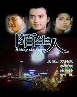 陌生人1999封面图