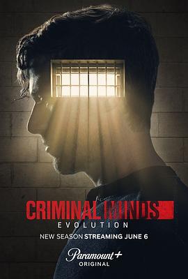犯罪心理：演变第十七季在线观看
