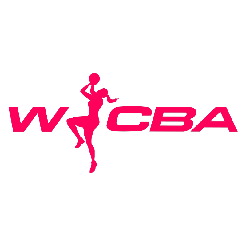 WCBA 石家庄英励vs东莞新彤盛20241116